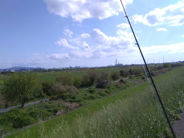 淀川 バス釣り