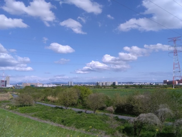 淀川 バス釣り