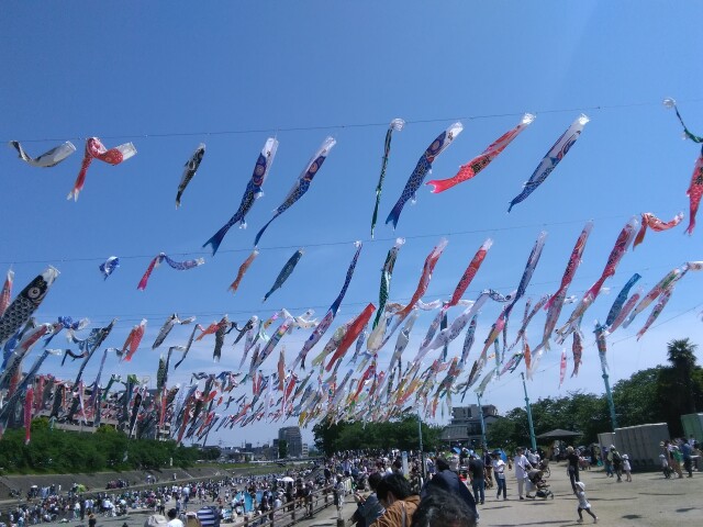 芥川桜堤公園