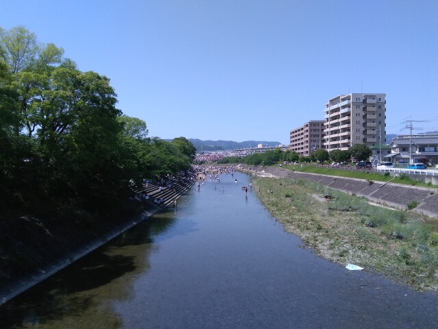 芥川桜堤公園