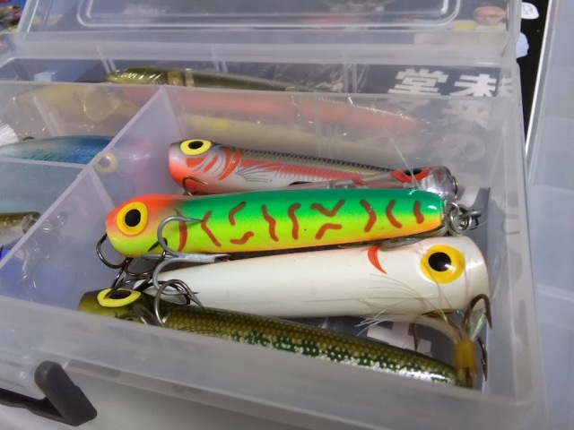 ストーム チャグバグ