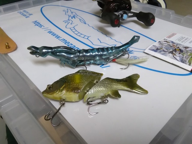 1月23日,旧正月,バス釣り,